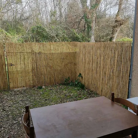 T1bis Avec Jardinet Au Calme