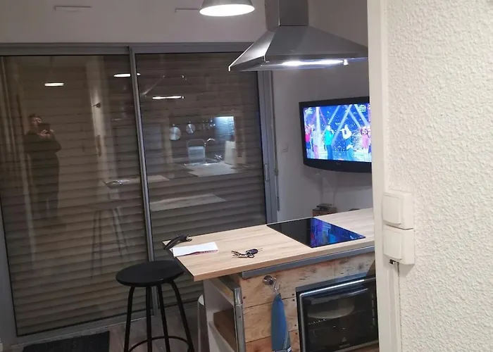 Apartament T1bis Avec Jardinet Au Calme Barbotan-les-Thermes