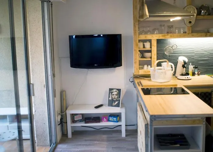 T1bis Avec Jardinet Au Calme