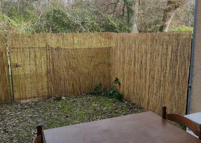 T1bis Avec Jardinet Au Calme